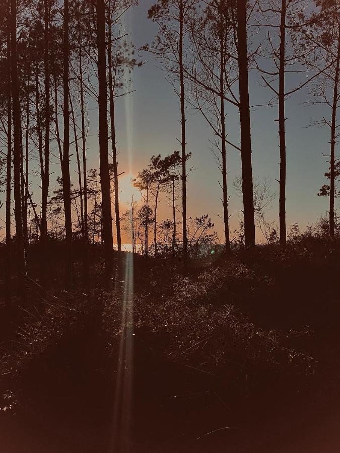 Baltico Domki Letniskowe Sarbinowo Luaran gambar